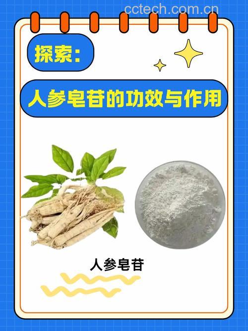 人参皂苷rh2的功效与作用是什么?