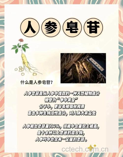 人参皂苷CK是什么?有什么功效?