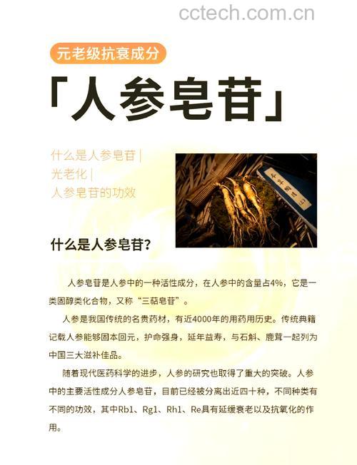 人参皂苷的作用与功效有哪些?