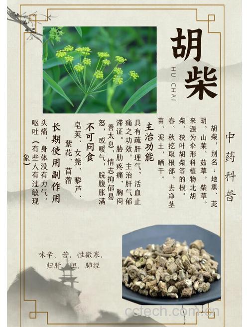 柴胡皂苷有什么作用?