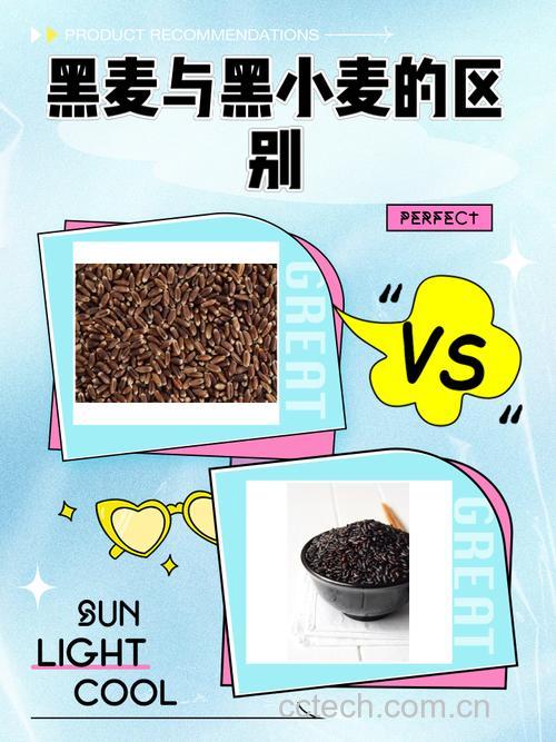 黑小麦和小麦的区别是什么