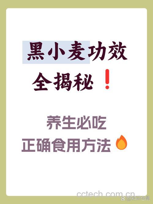 黑小麦怎么吃 黑小麦仁粉怎么吃