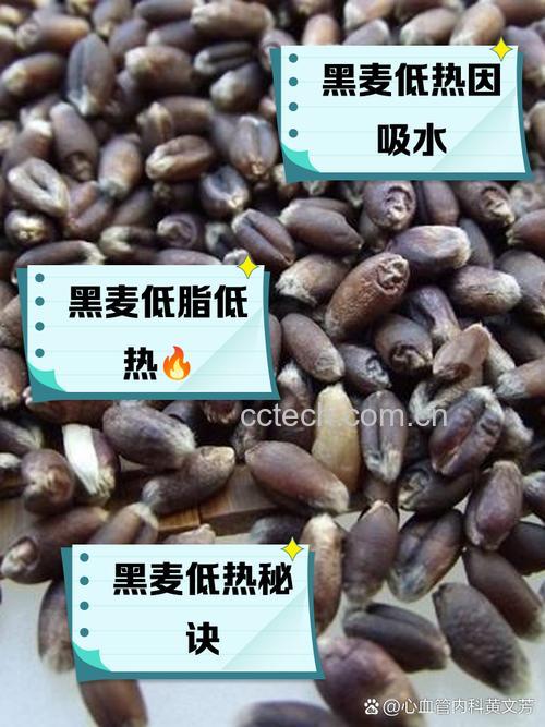 黑小麦的热量是多少