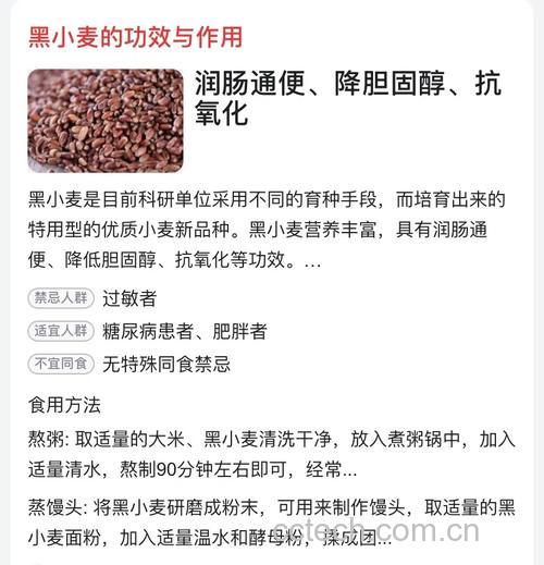 黑小麦酒的功效与作用