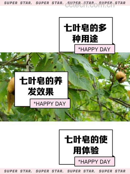 七叶皂苷钠与甘露醇哪个效果好