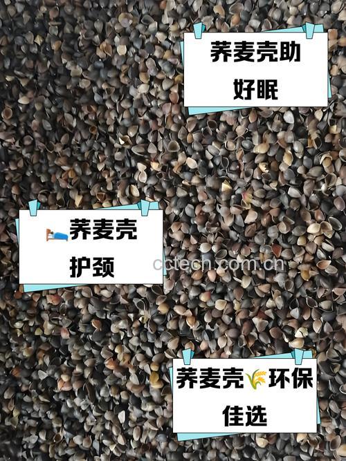 黑荞麦壳的用途与功效