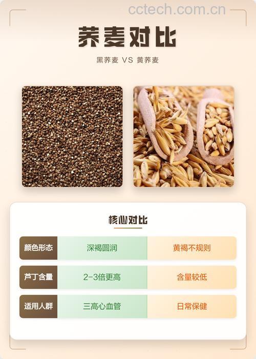 黑荞麦与黄荞麦的区别