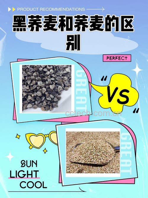 黑荞麦品种怎么识别