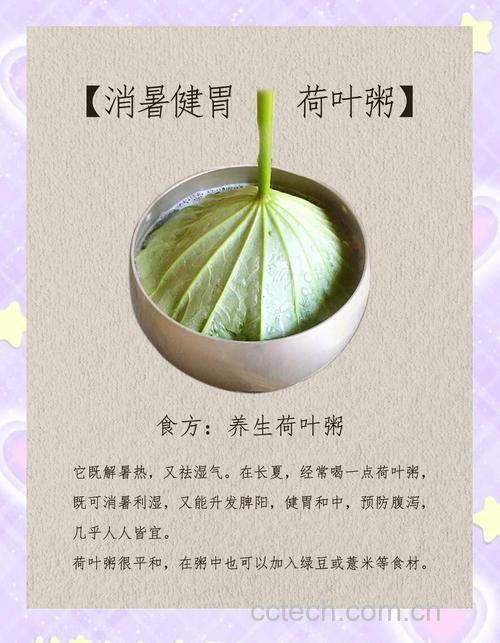 茯苓荷叶粥能减肥吗?