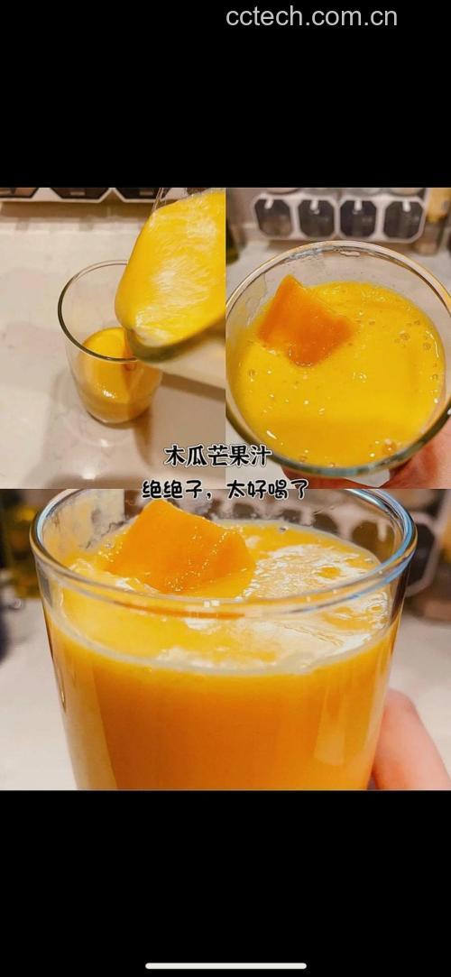 木瓜汁怎么做？鲜榨木瓜汁的5种做法