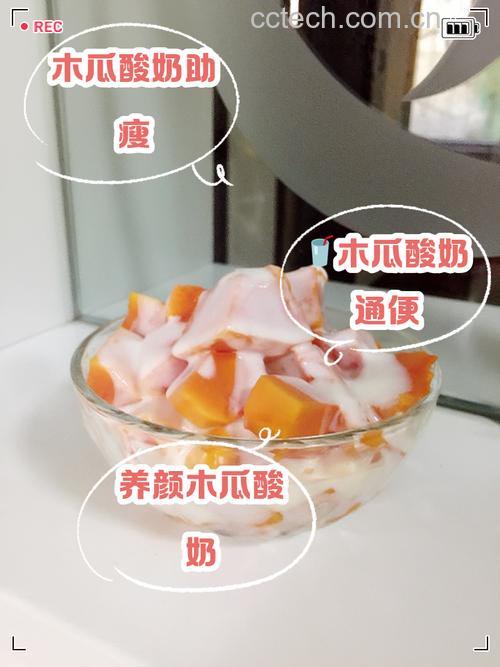 木瓜汁加牛奶好还是加酸奶好？木瓜汁牛奶做法与口感对比