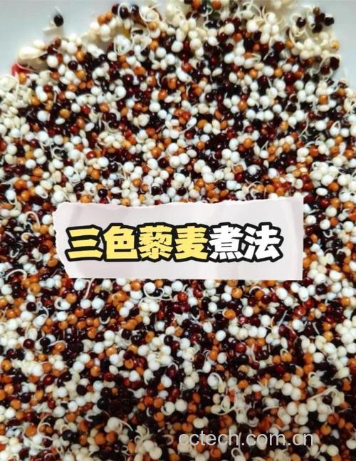 黎麦米糊的做法(黎麦米稀)