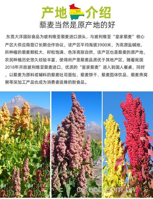黎麦米的产地哪里最好