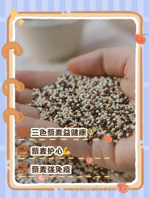 三黎麦米是什么意思