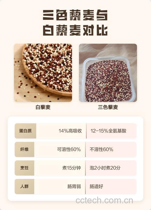 三色藜麦和白藜麦哪个好