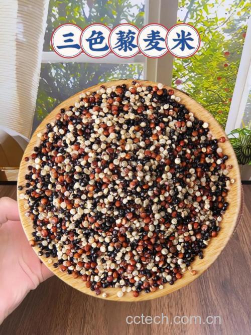 三色藜麦米是什么米
