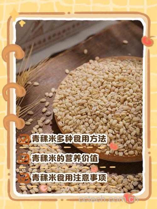青稞米怎么煮成米饭 青稞米蒸米饭好吃吗