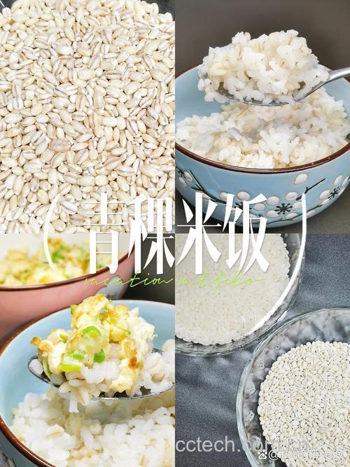 青稞饭的做法 青稞杂粮饭怎么做