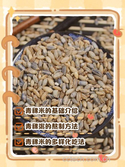 青稞米如何做 青稞能直接食用吗