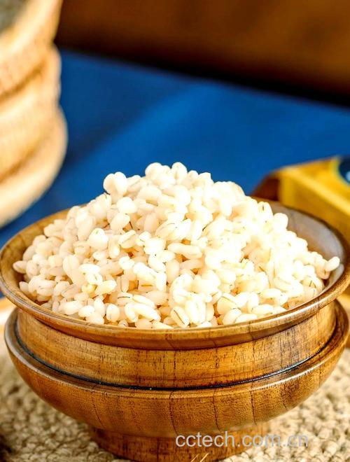 青稞米蒸饭怎么做好吃 青稞米饭好吃吗