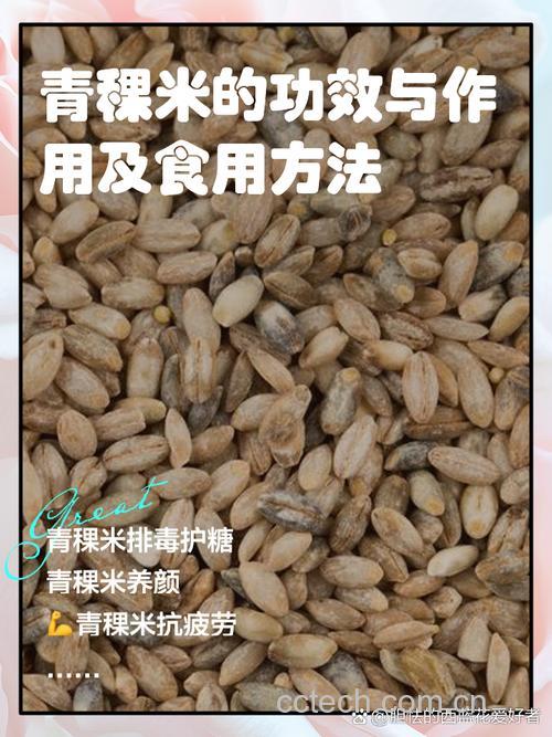 青稞米怎么吃对人身体有什么好处