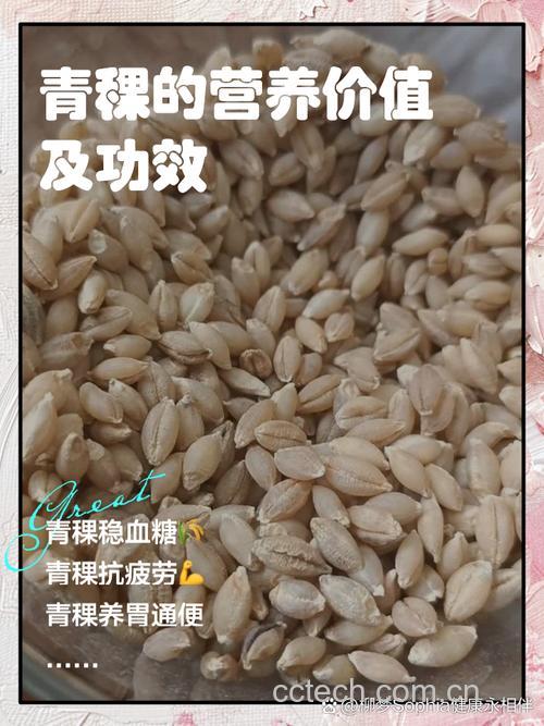 青稞对血糖高有好处吗