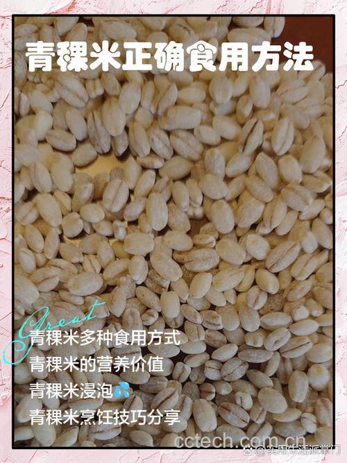 青稞米可以直接煮饭吗