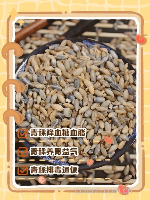 青稞有减肥的功效吗 青稞适合减肥的人吃吗
