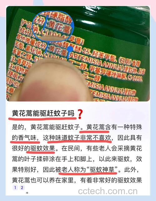 糁子粑粑的功效与作用