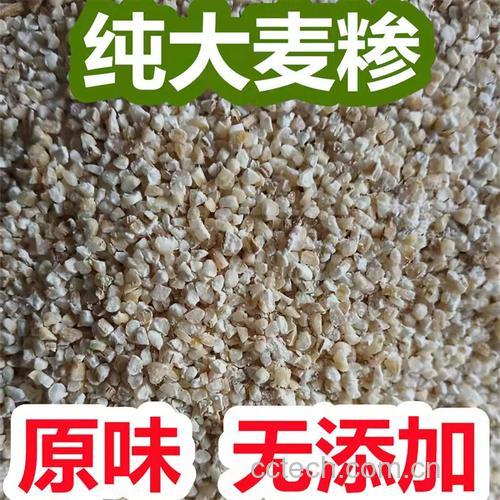 大麦糁子的营养价值与功效