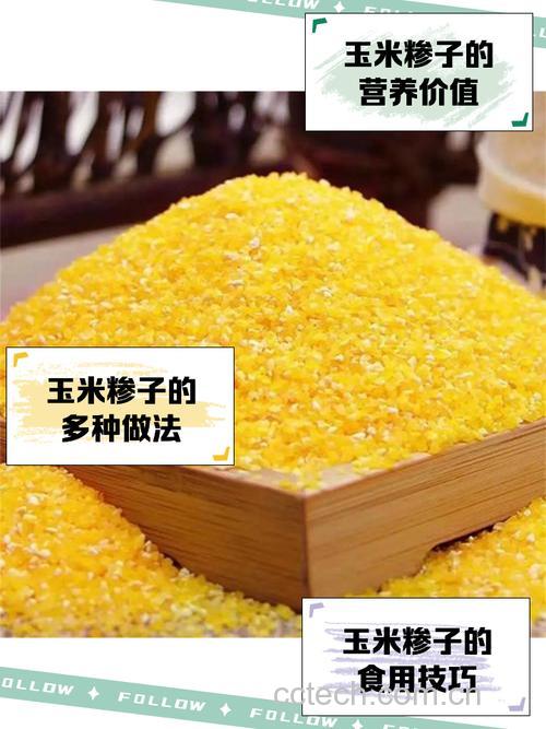 玉米糁子长什么样