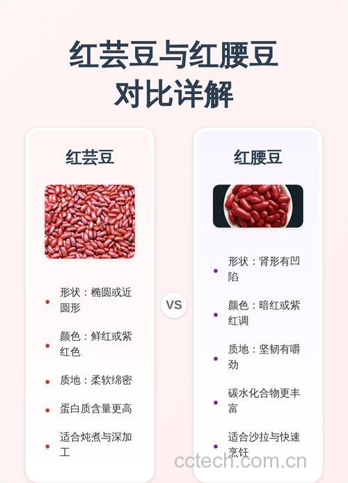 红芸豆和红腰豆有什么区别