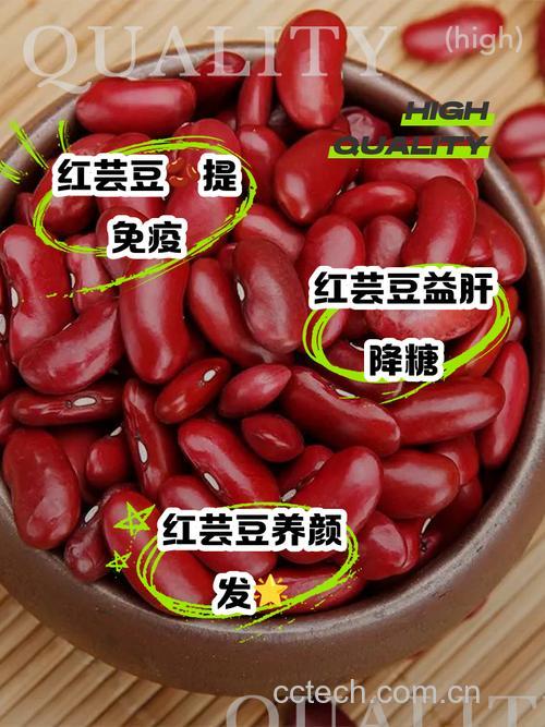 红芸豆好消化吗?红芸豆吃多了会胀气吗