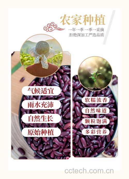 红芸豆的药用价值及性味归经