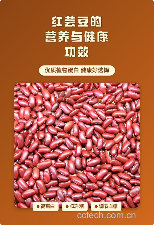 红芸豆怎么吃最有营养 不损失营养