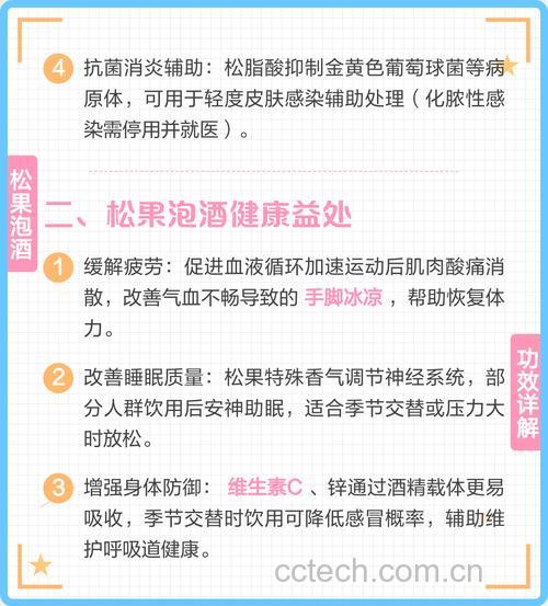 松果泡酒、煮水的正确服用方法及功能主治