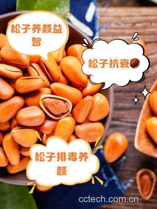 女人吃松果有什么好处,有哪些禁忌需要注意
