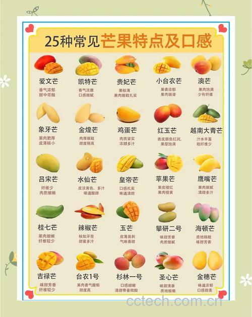 青芒果和黄芒果热量对比表格