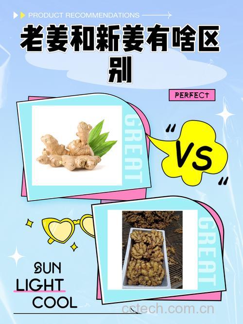 姜末是啥？跟姜沫、姜片有什么区别？用老姜还是生姜？