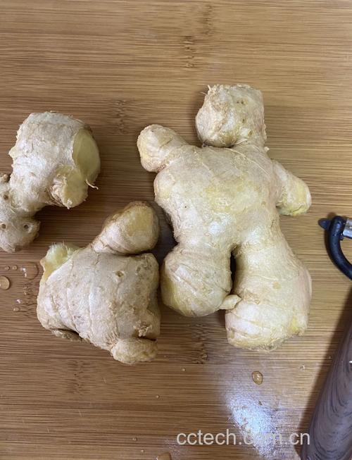 姜末的简易制作法：如何把姜弄成姜末/姜汁 含保存技巧