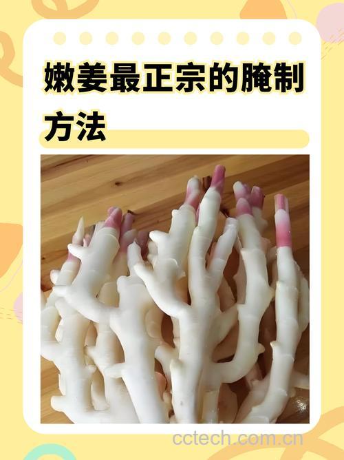 姜末配料与蘸料怎么调?好吃的姜末调料做法窍门