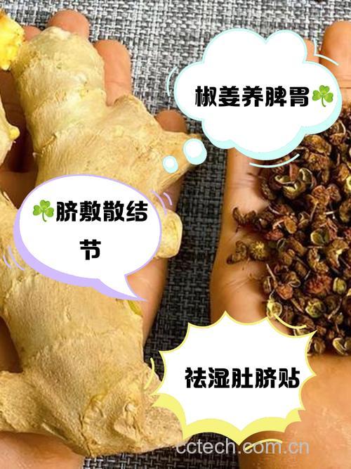 姜敷肚脐拉肚子咋回事?出水是湿气重吗?