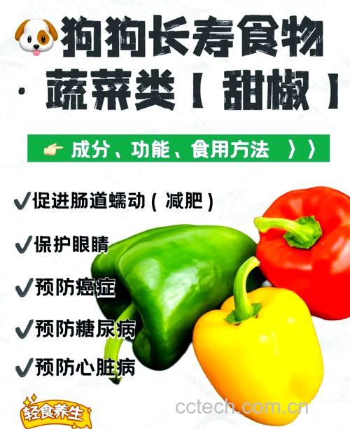 红椒青椒可以生吃吗