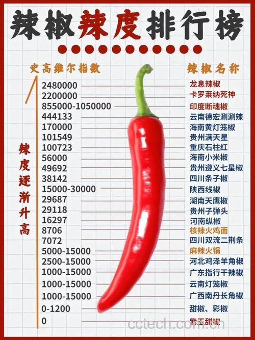 100克红椒的热量是多少大卡