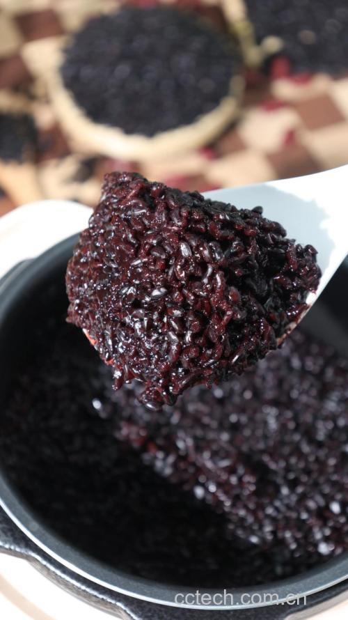 黑香米的做法大全窍门