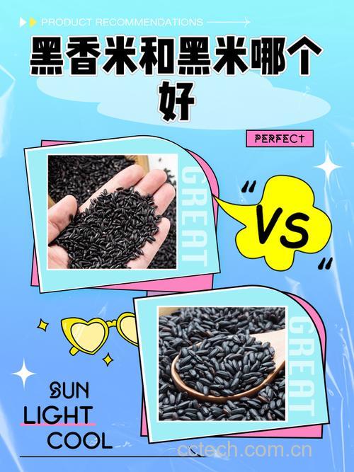 黑米与黑香米哪个好
