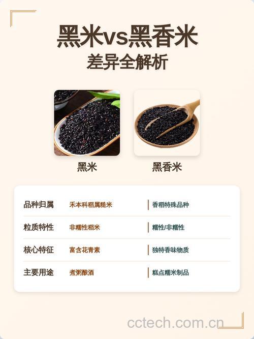 黑香米跟黑米有什么不一样