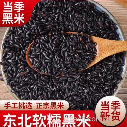 黑香米是粗粮吗