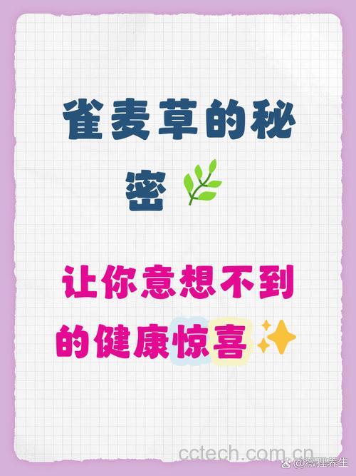 雀麦草的功效与作用