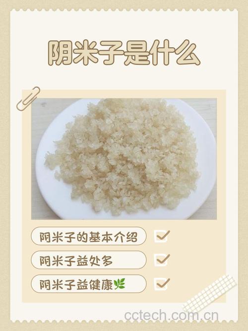 阴米的功效与作用及食用方法 阴米的做法和功效